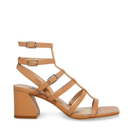 Brown Steve Madden August Leather Women's Heels Sandals | PH 4218WXS